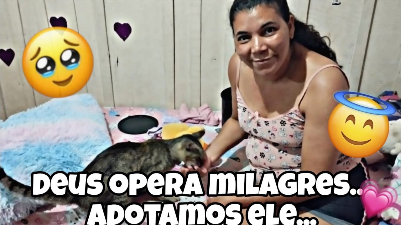ATUALIZAÇÃO DA SITUAÇÃO DO GATINHO+ UM GRANDE MILAGRE🙌❣️