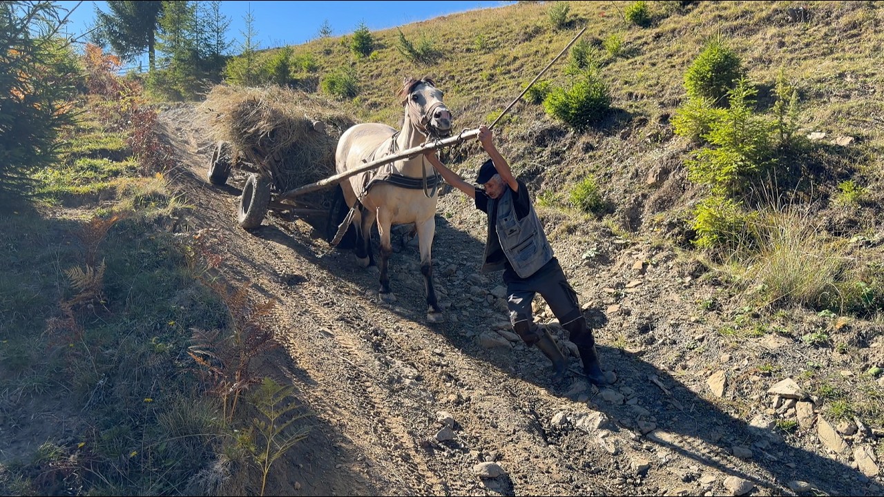 Authentic Village Life: A Lonely Grandpa Living High in the Carpathian Mountains