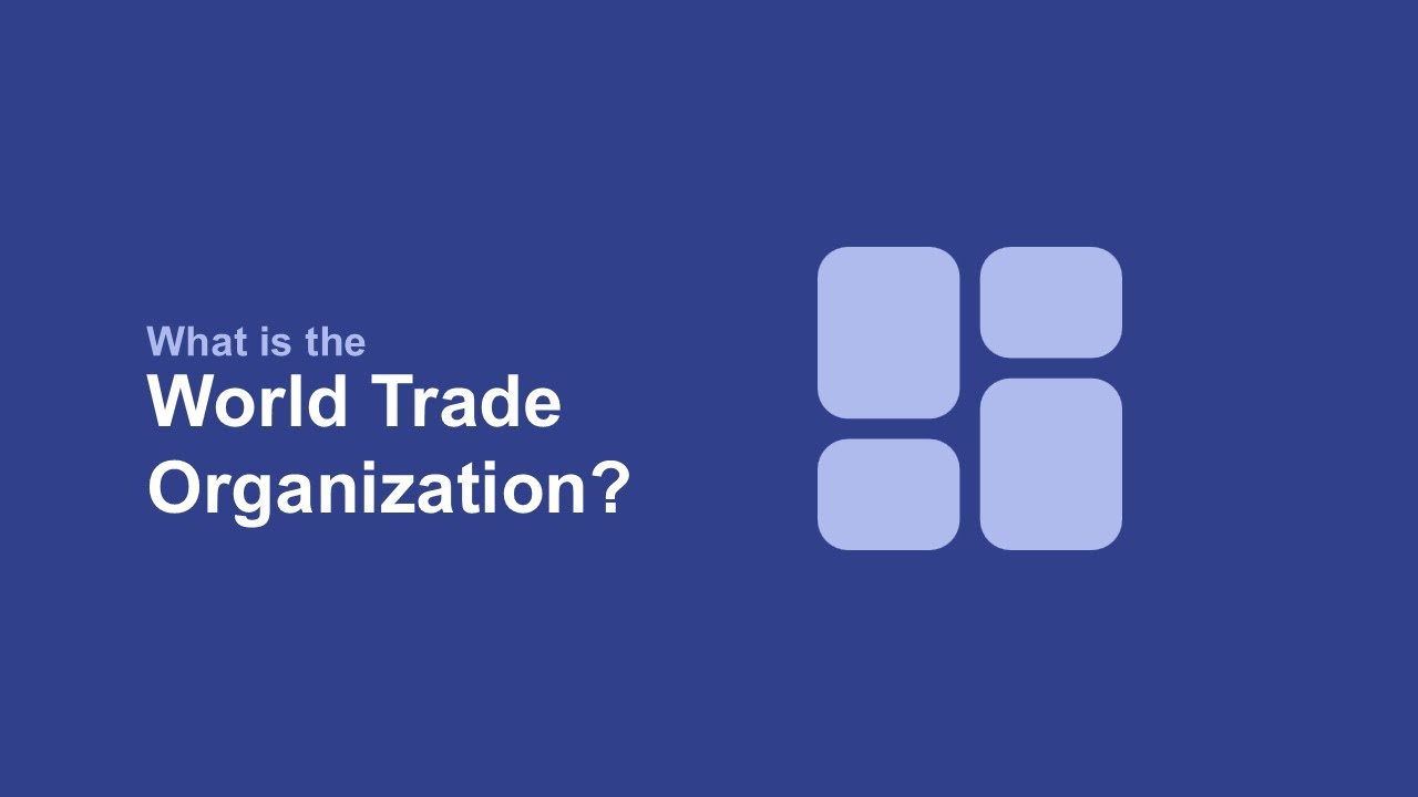 What is the World Trade Organization?