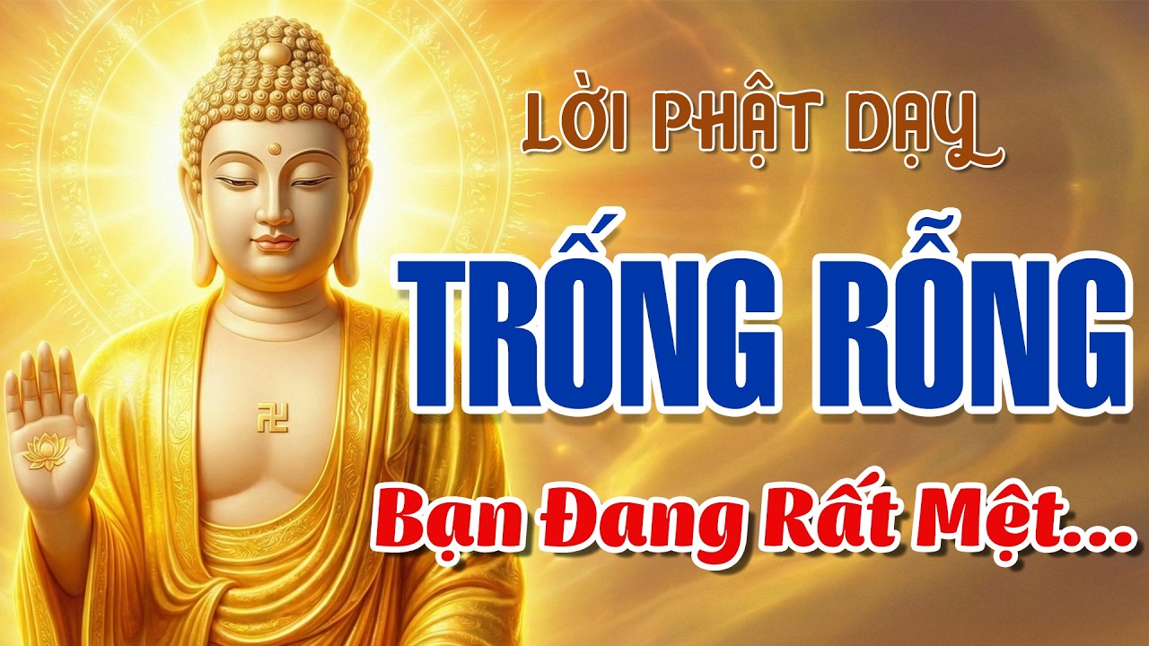 Nếu Hôm Nay Bạn Thấy Trống Rỗng – Hãy Ngồi Xuống Và Nghe Bài Pháp Này Một Lần