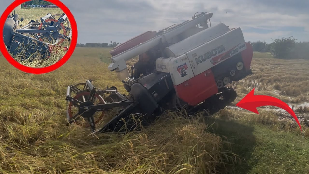 A Kubota rice harvester is driving up and down to harvest rice.#moni 