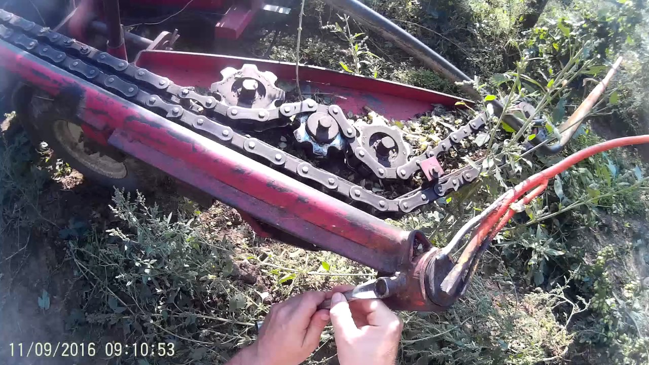 sklizeň chmele