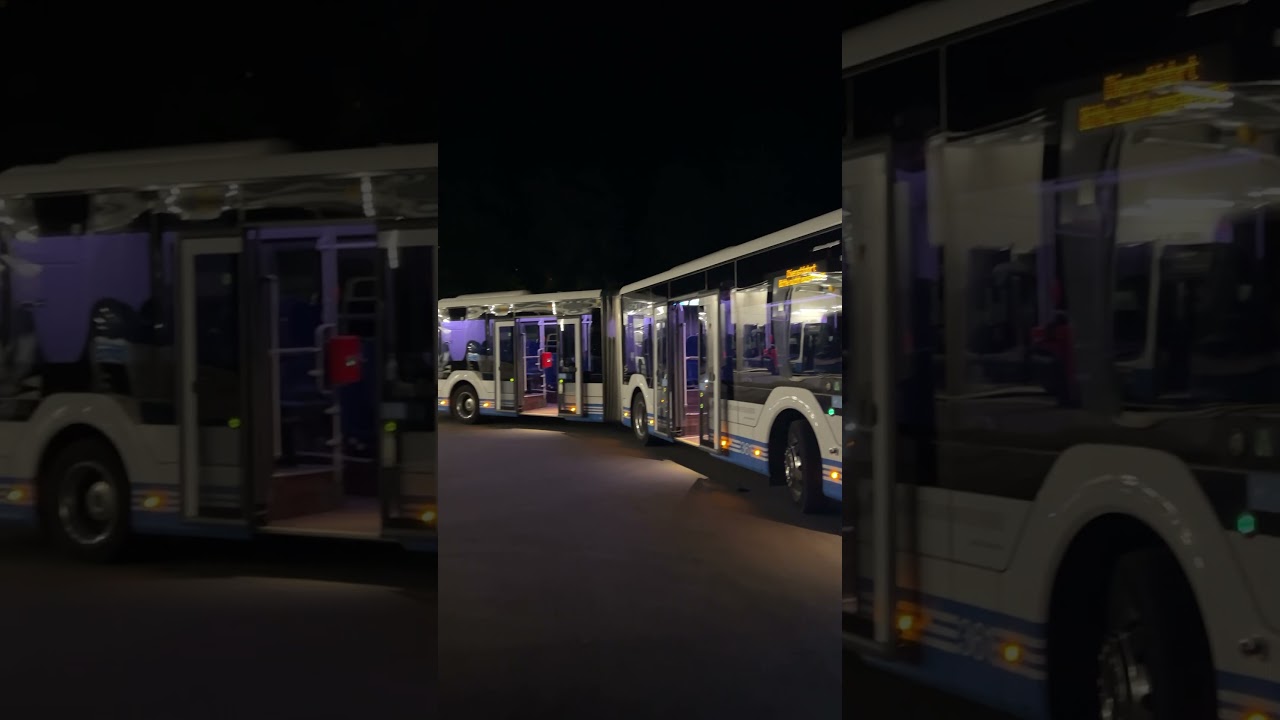 MAN Gelenkbus