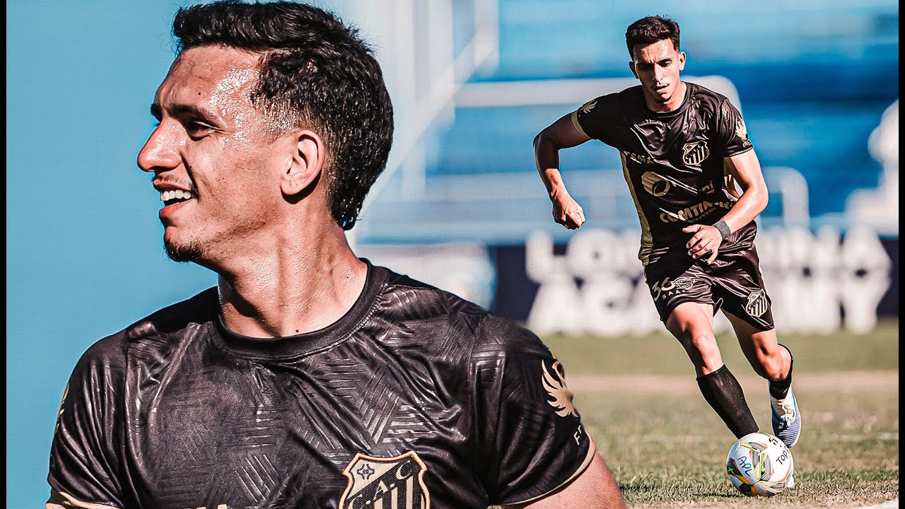 The Best of THALES MACIEL