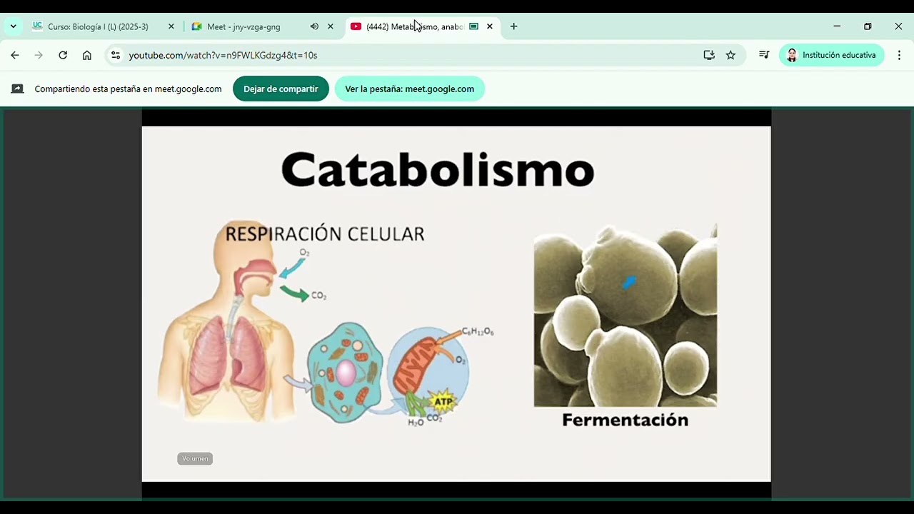 Biología _Clase Semana:  _Tema: