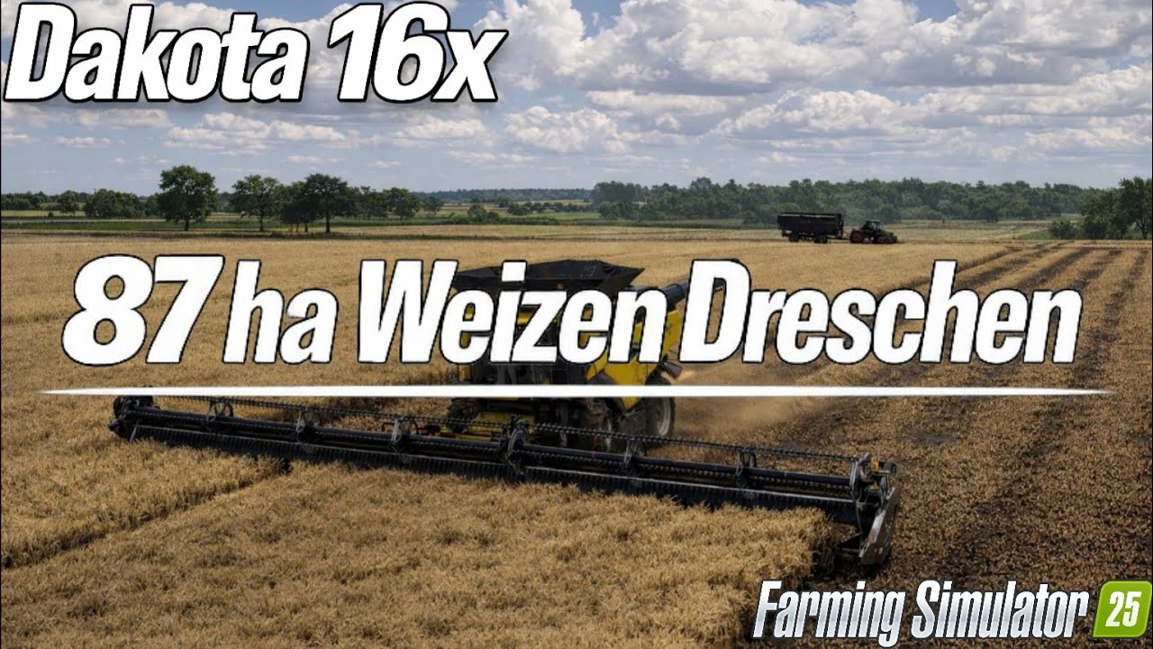 #13 Ein FELD. Eine ARBEIT. WEIZEN DRESCHEN! | TIMELAPSE | Dakota 16x | Farming Simulator 25