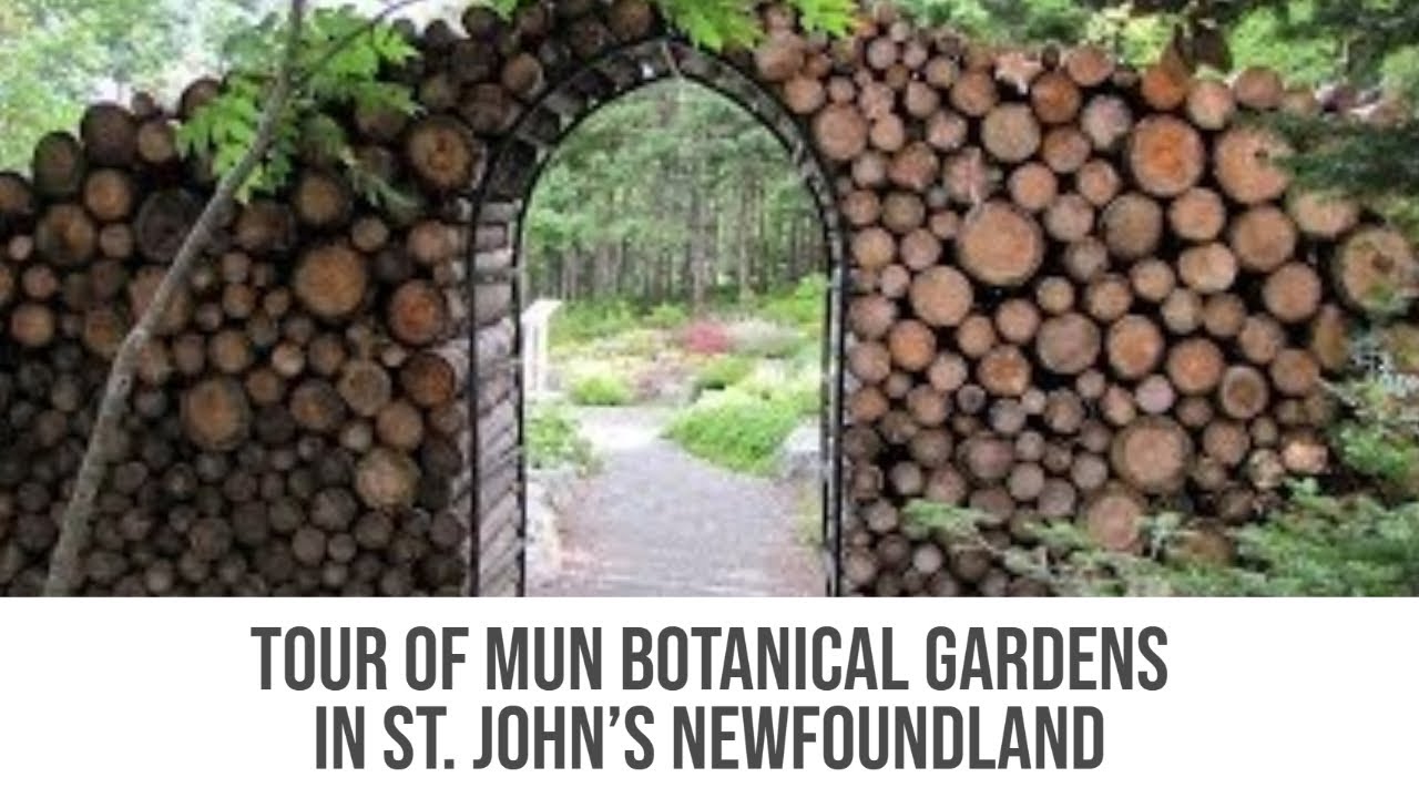 Tour of MUN Botanical Gardens in St. John's Newfoundland