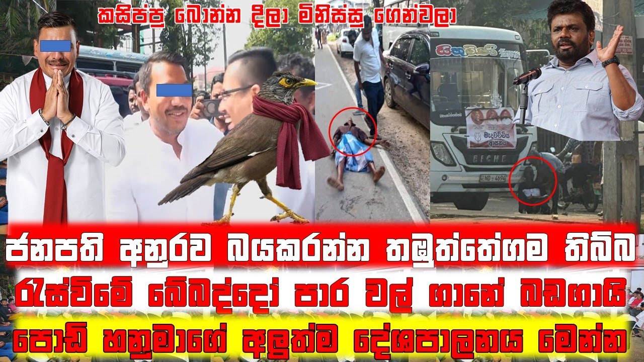 ජනපති අනුරට සද්දේ දැම්ම පොඩි හනුමාට වුන දේ...@TurningPoint87