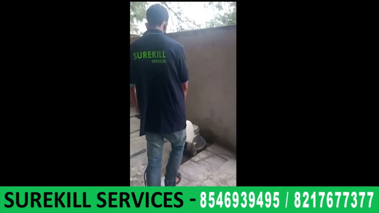 Cleaning with Single Disc Machine  Scrubbing Machine | Pest Control Services - Surekill