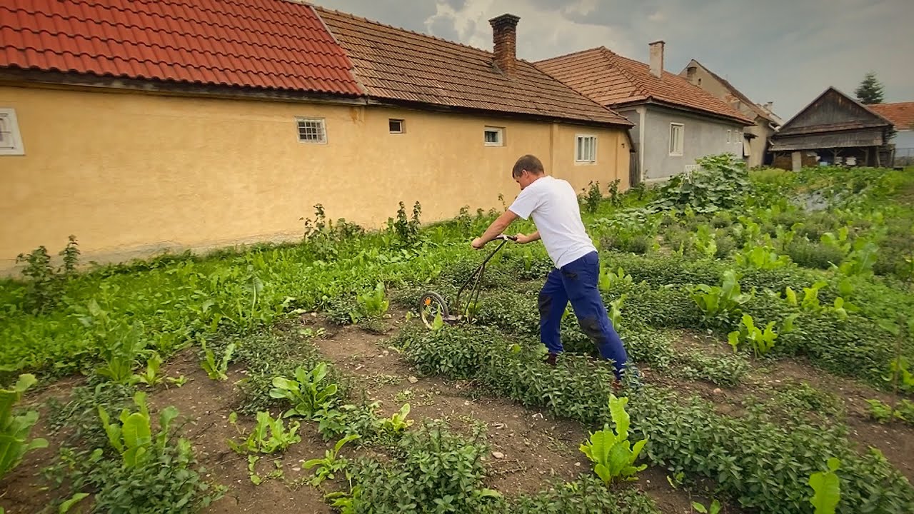 Kárpát-medence - László Rezső csíkcsicsói plébános gazdasága 2020.09.06.