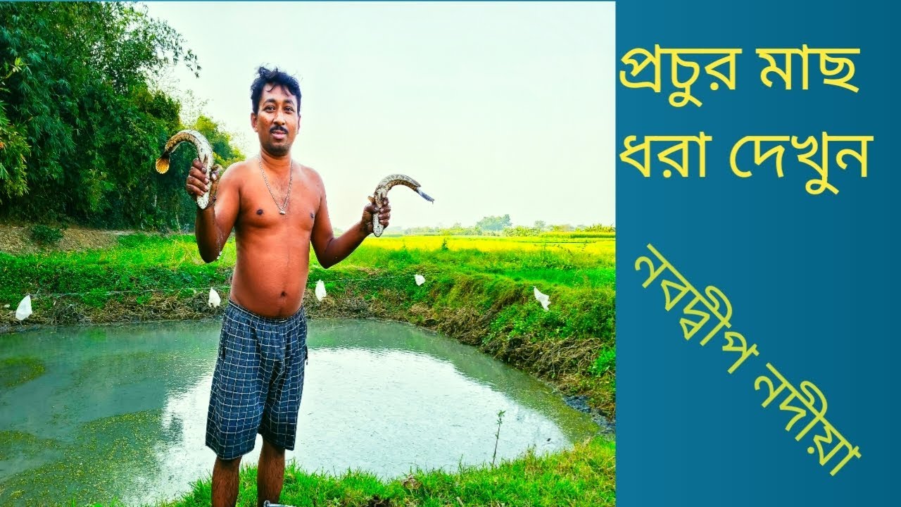 বিভিন্ন প্রকারের মাছ ধরা দেখুন।  #fishing                          #fishing 