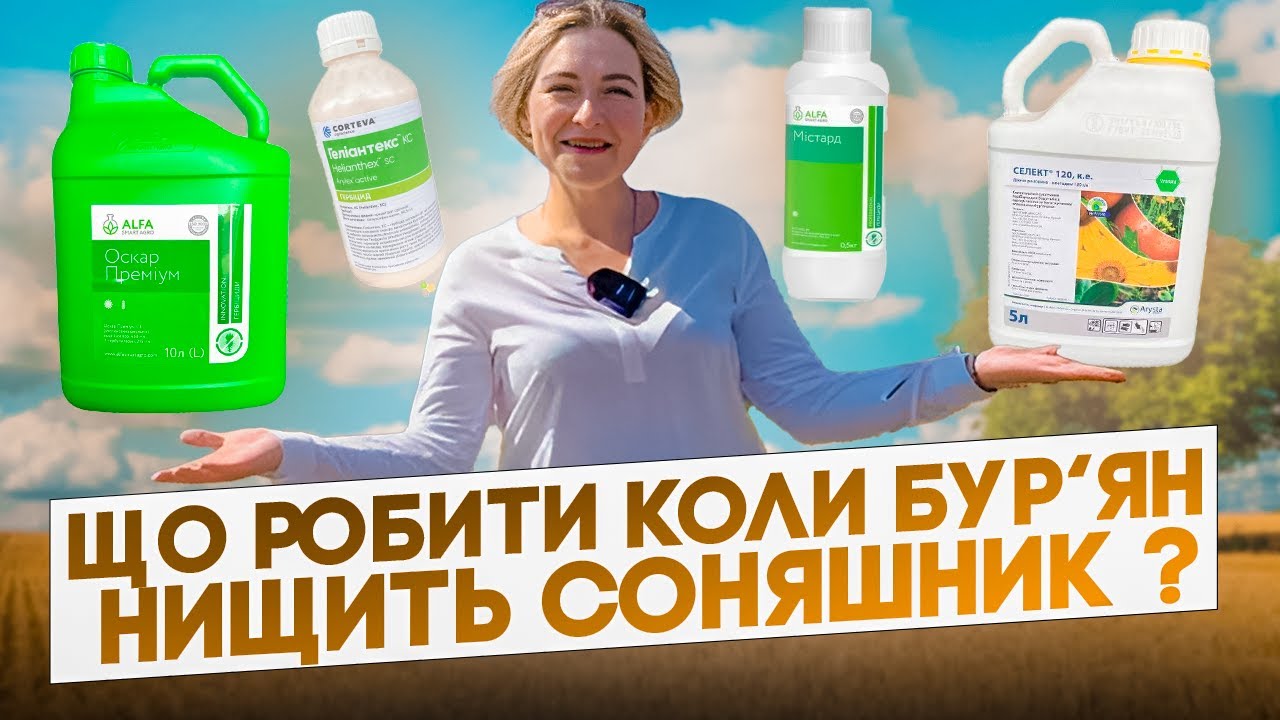Що робити коли БУР'ЯН нищить Соняшник?? ГЕРБІЦИДНИЙ ЗАХИСТ ВІД А ДО Я. Поради від Еліта Селект
