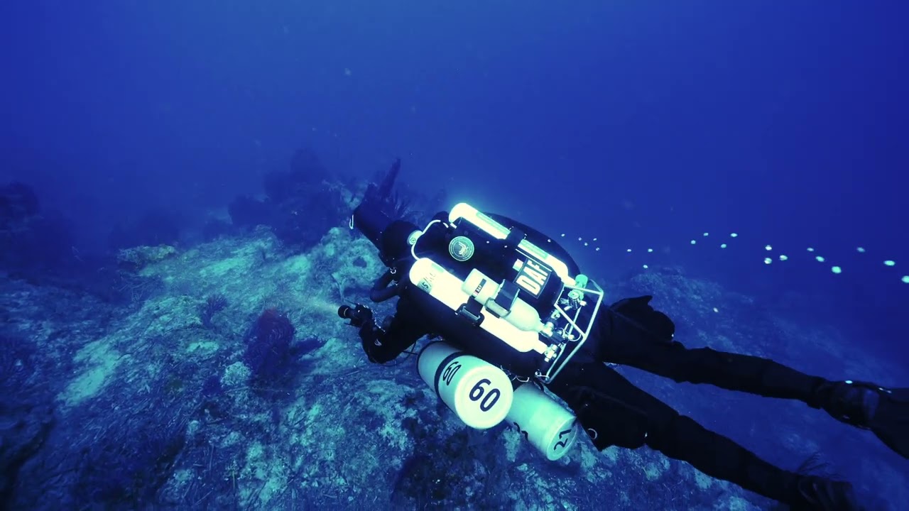 Immersioni con Nemo's Divers Milazzo ( realizzato con Easydive)