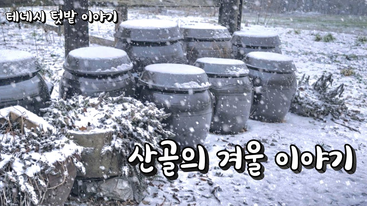 [미국 테네시] 🌱 눈과 겨울비가 내리는 얼어붙은 산골풍경 #시골생활 #farming 