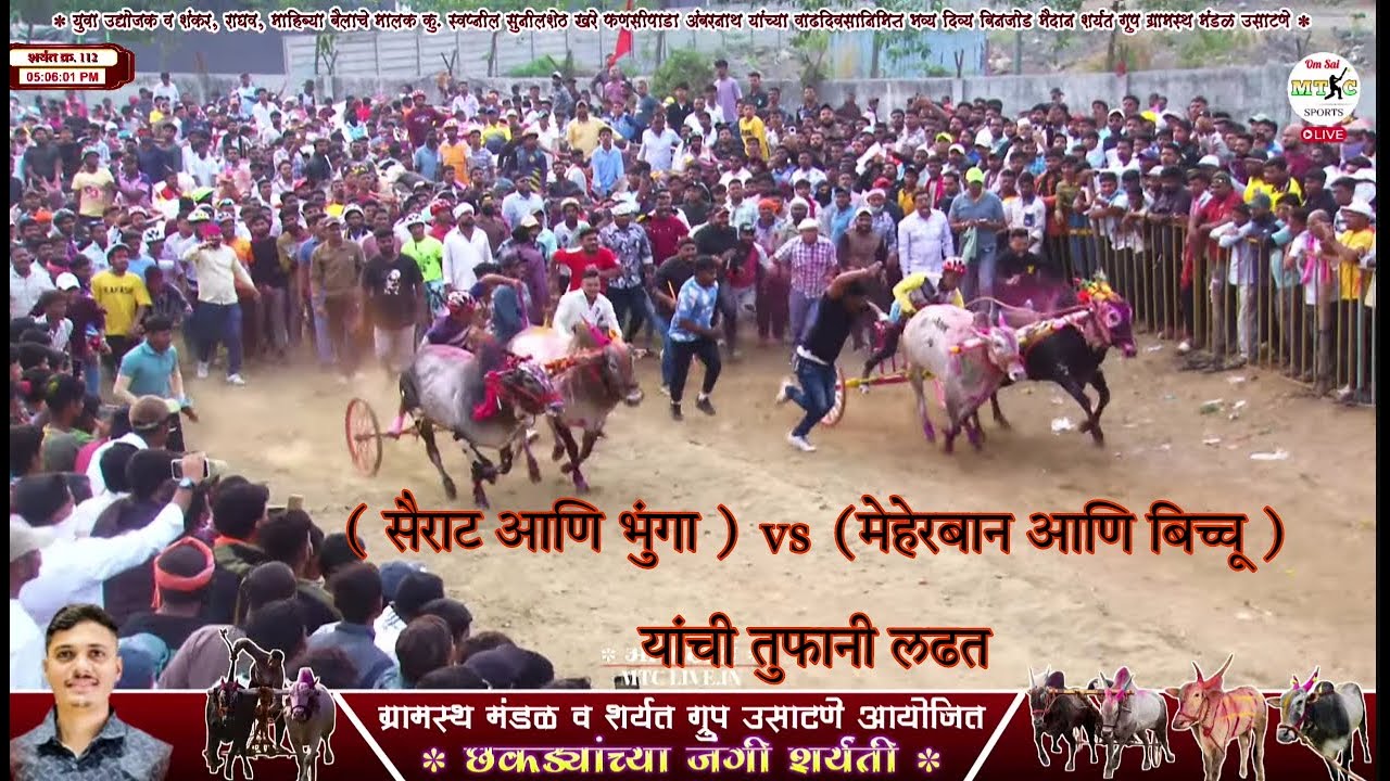 ( सैराट आणि भुंगा ) vs (मेहेरबान आणि बिच्चू ) यांची तुफानी लढत