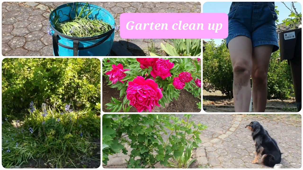 Garten clean up | makeover
