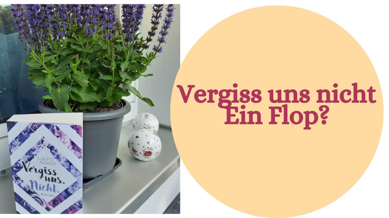 Vergiss uns nicht von Laura Kneidl - Hoffentlich kommt da noch mehr