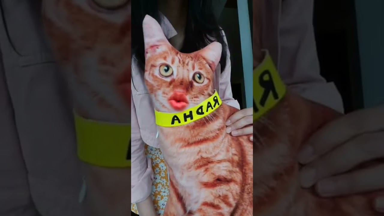 How many Callories does Adah Sharma have in a day ? #PartywithPaati starring star kid Radha Sharma