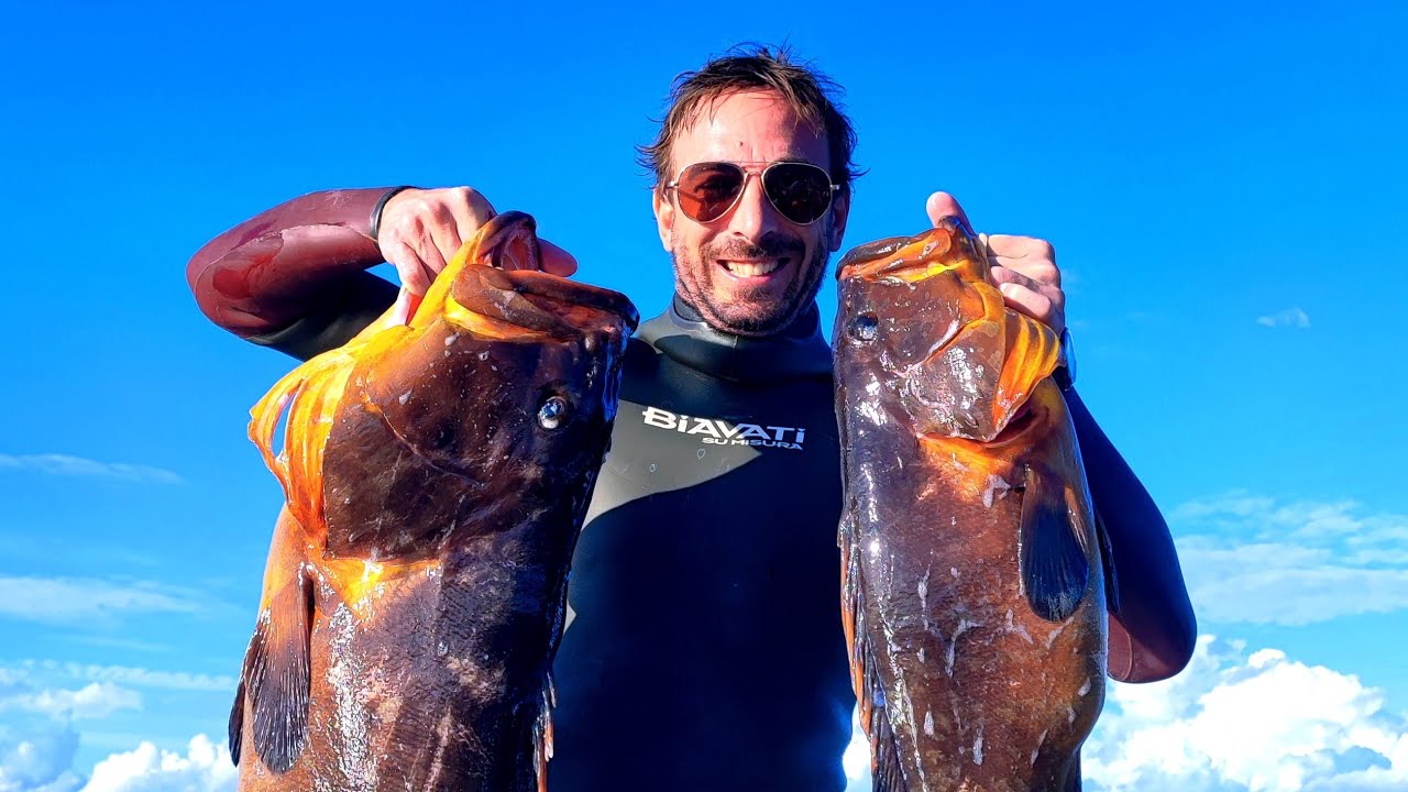 Agguato profondo ad una bella cernia