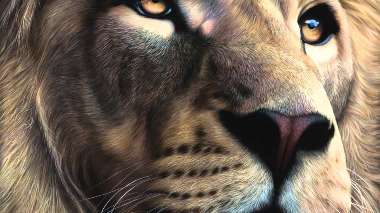 stefano zagaglia wildlife artist