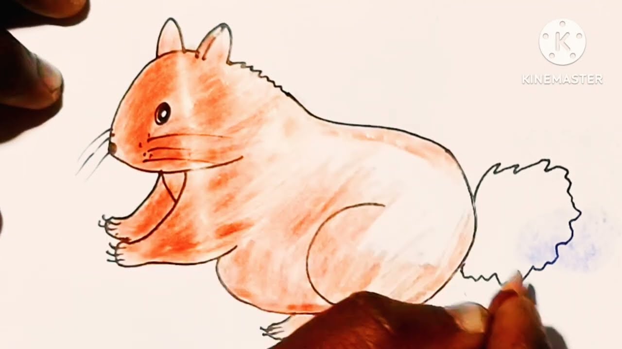 How to drow easy squrreal drawing easy step ll Easy coloring step by step squrreal panting 