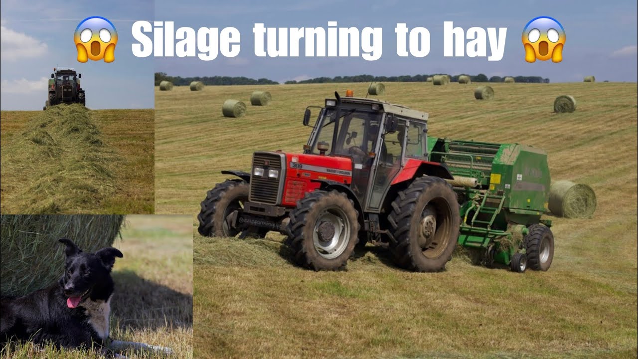 THE DRIEST FIRST CUT EVER!! Silage turning into Hay || Battling the sun to get the silage baled!