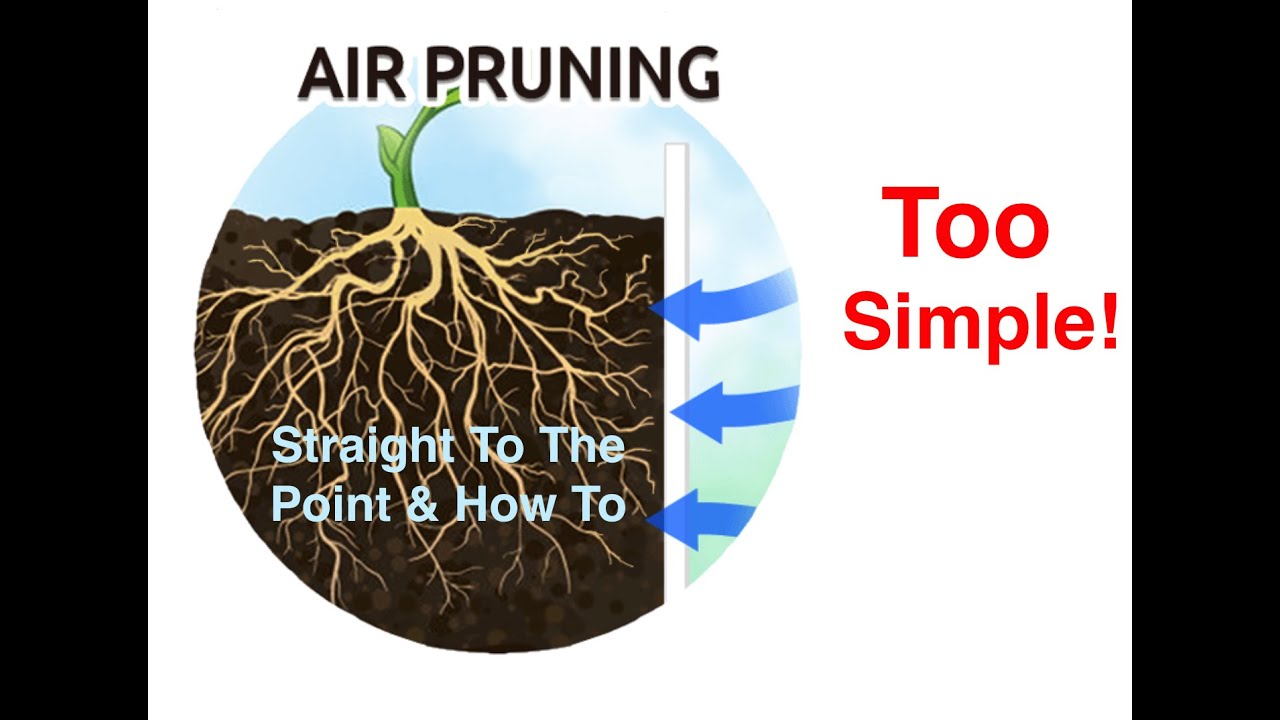 DIY CHEAP Air Pruning Pots