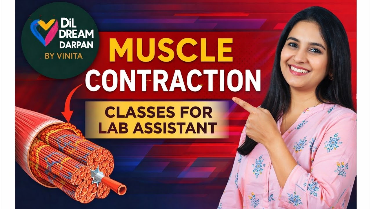 Muscle contraction/classes for lab assistant/ biology classes/Dil Dream Darpan by Vinita 