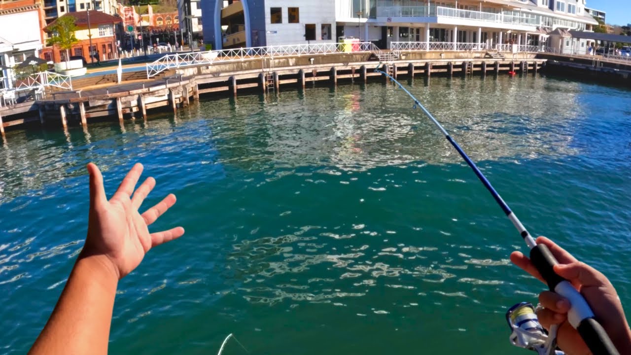 Fishing Newcastle Harbour
