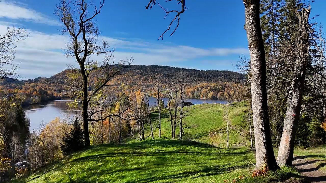 Autumn colours walking at Semsvannet in Asker followed by my drone