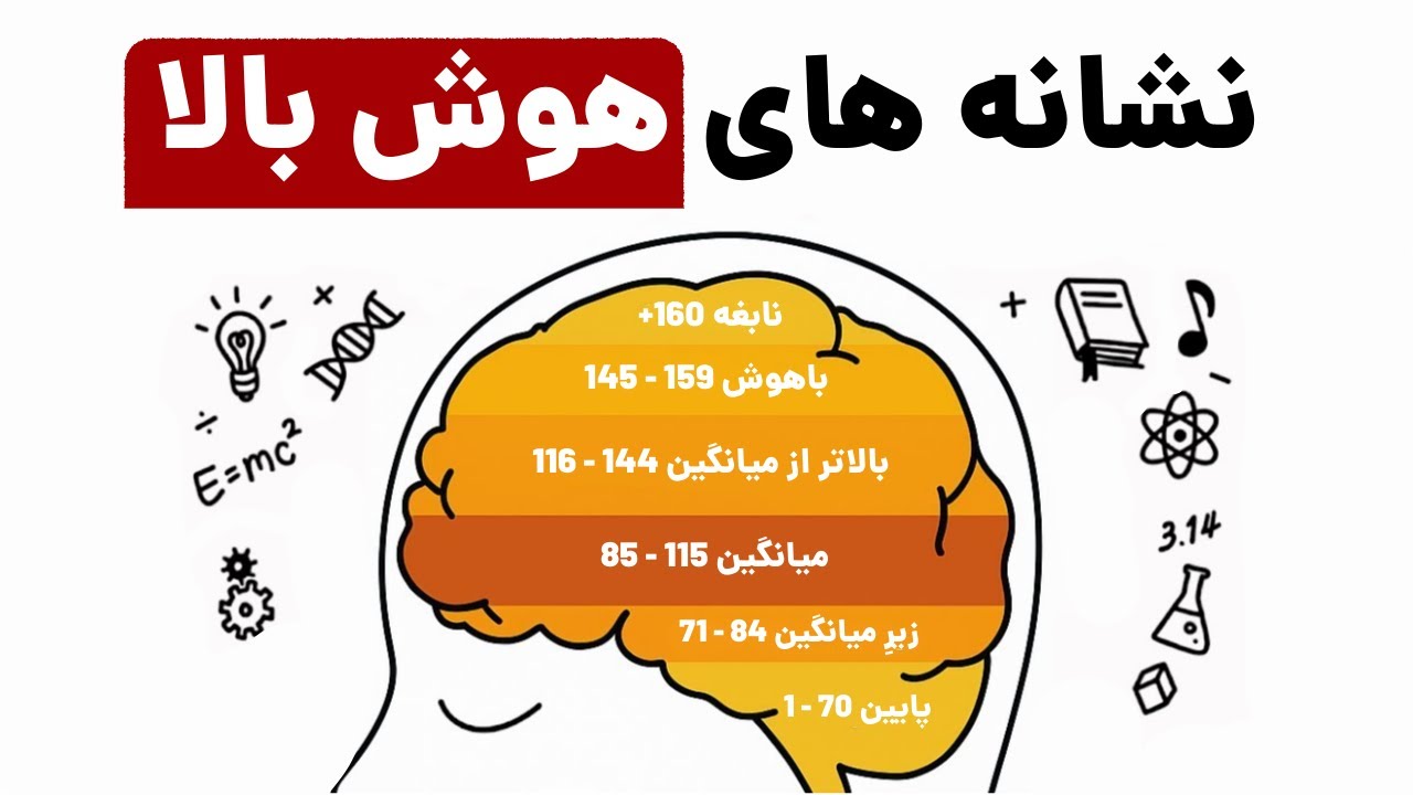 فقط افراد باهوش این کارها را انجام می‌دهند | روان‌شناسی توضیح می‌دهد