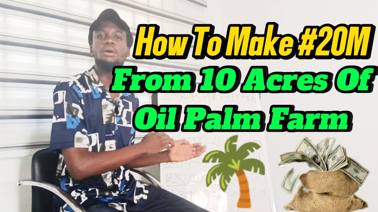 Income & Expenditure Analysis for 10Acres of Oil Palm Trees in Nigeria 2025