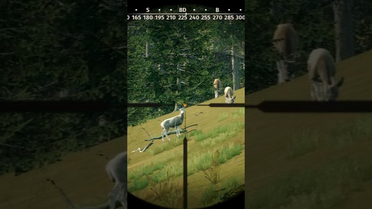 the Hunter game