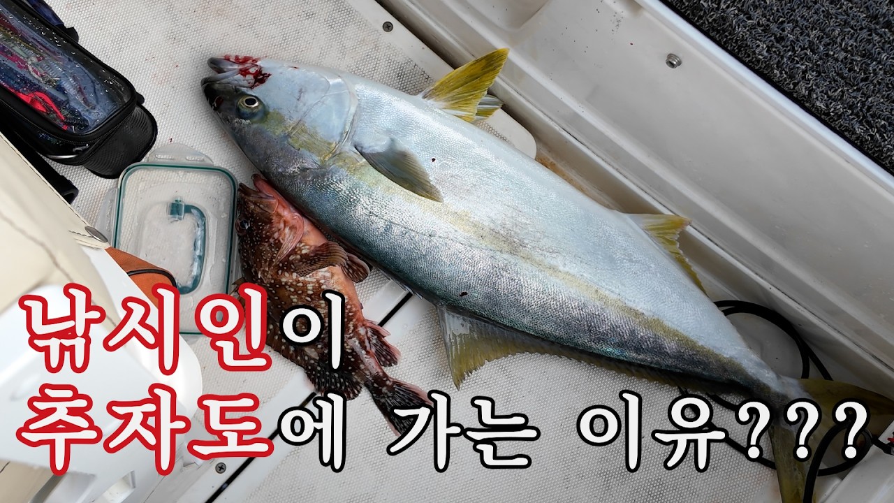 추자도 낚시, 솔직히 말하면 이렇습니다.