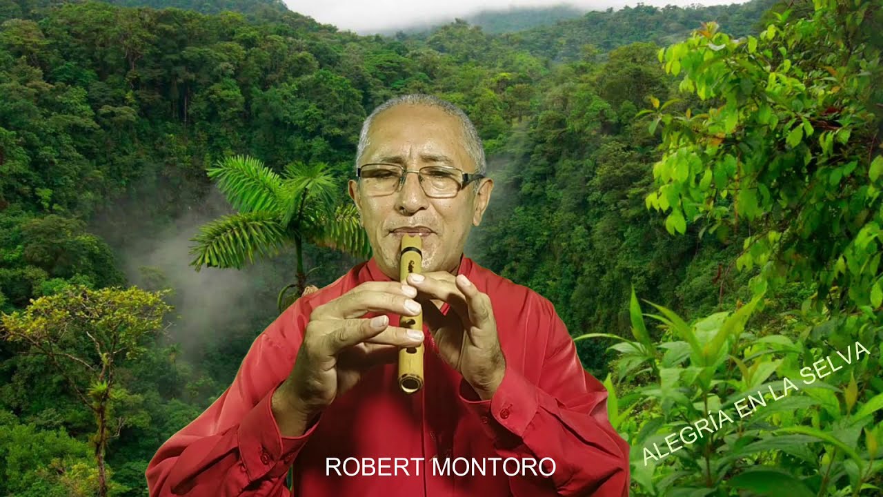 ALEGRÍA EN LA SELVA - Andrés Vargas pinedo - Robert Montororo