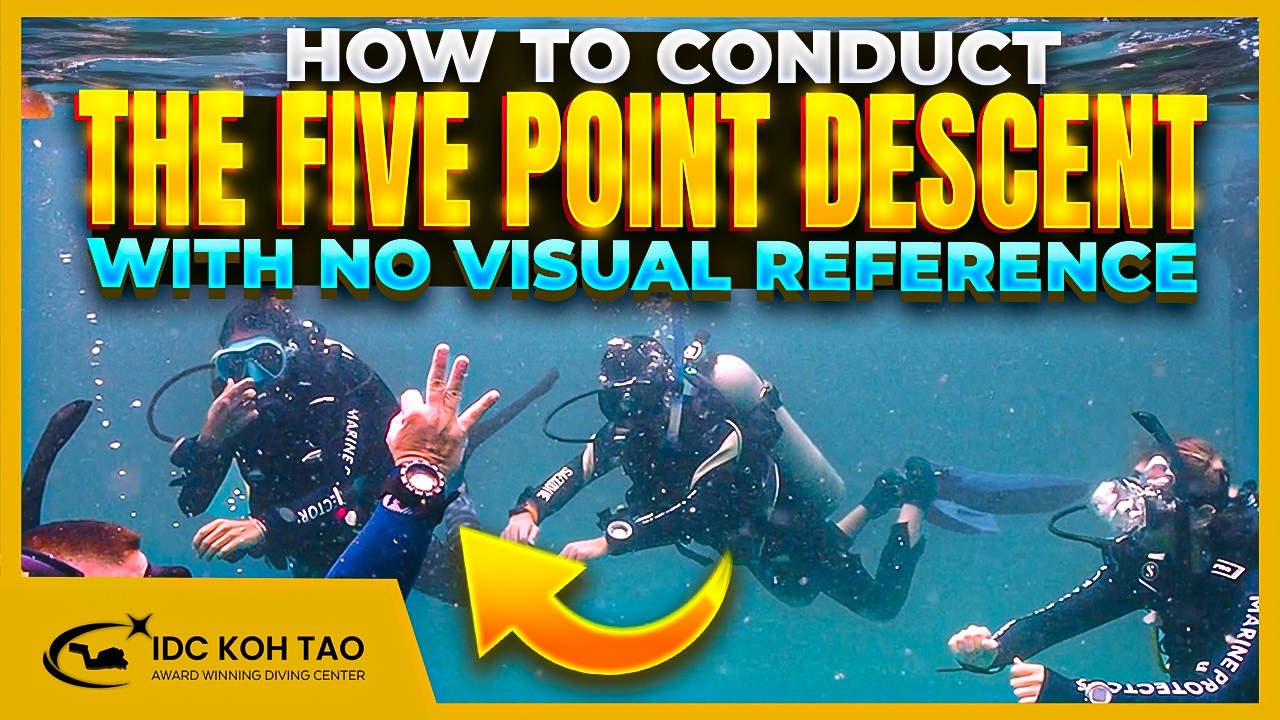 ⬇️ How to Conduct the Five Point Descent with No Reference in Open Water Dive #4 🤿