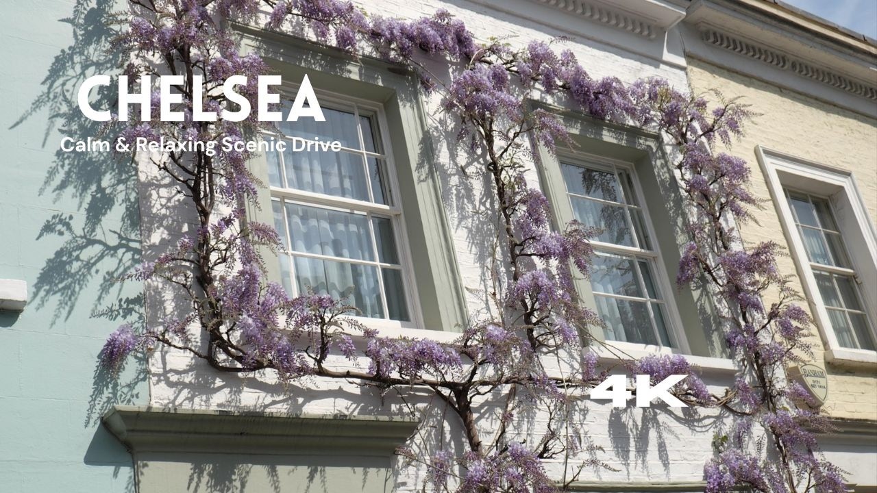 Chelsea Riverside Drive | Calm & Relaxing Thames Bridges Route 4K