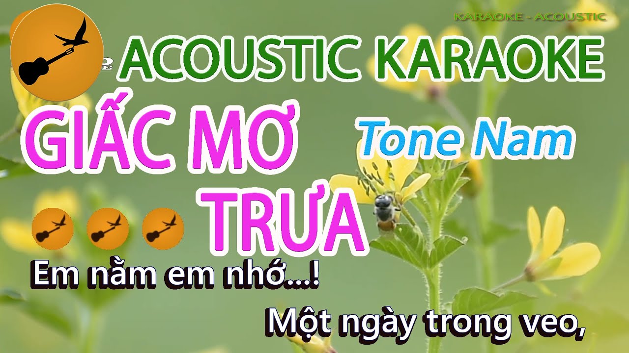 GIẤC MƠ TRƯA Karaoke Tone Nam