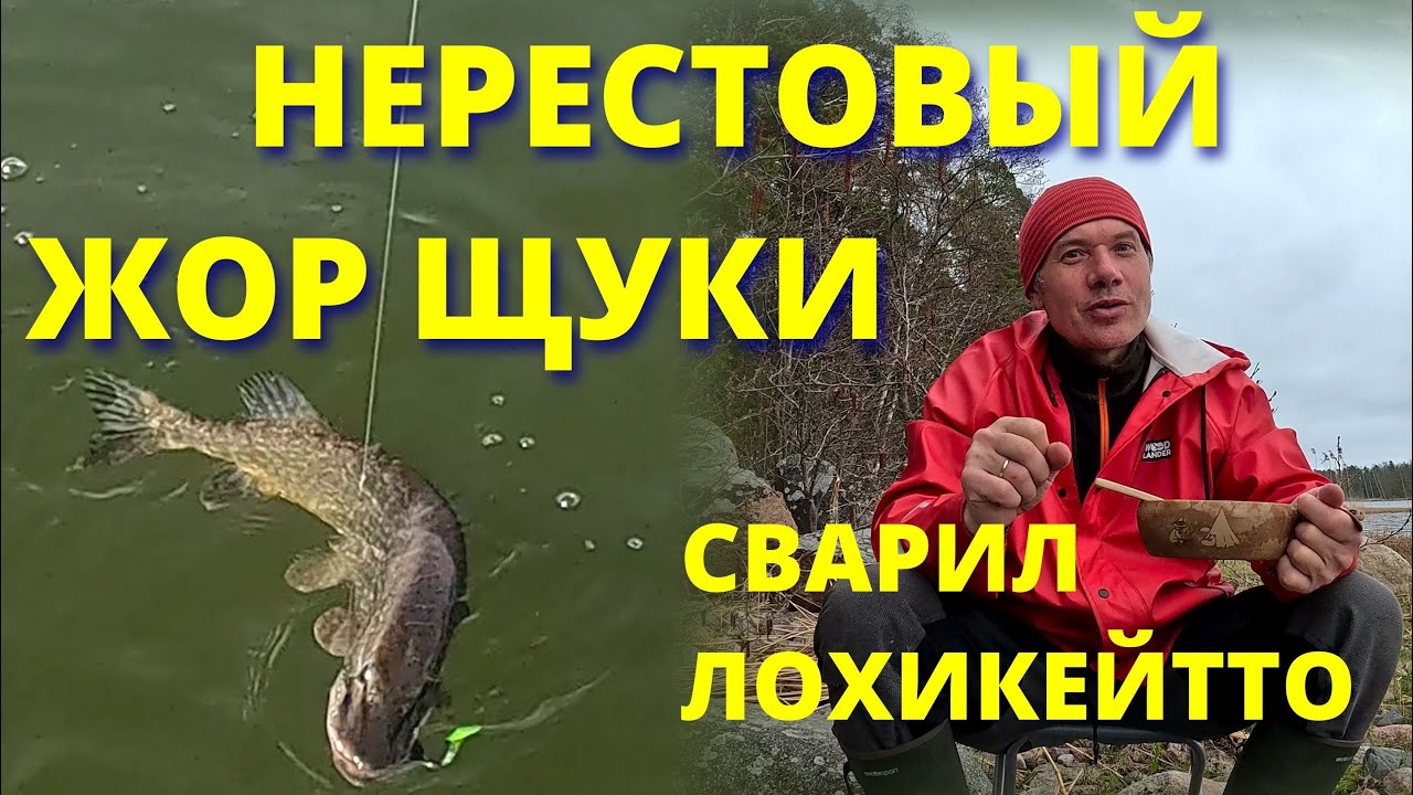 Весенний ЖОР ЩУКИ на Финском заливе! Лучшие места, приманки и сливочная уха lohikeitto