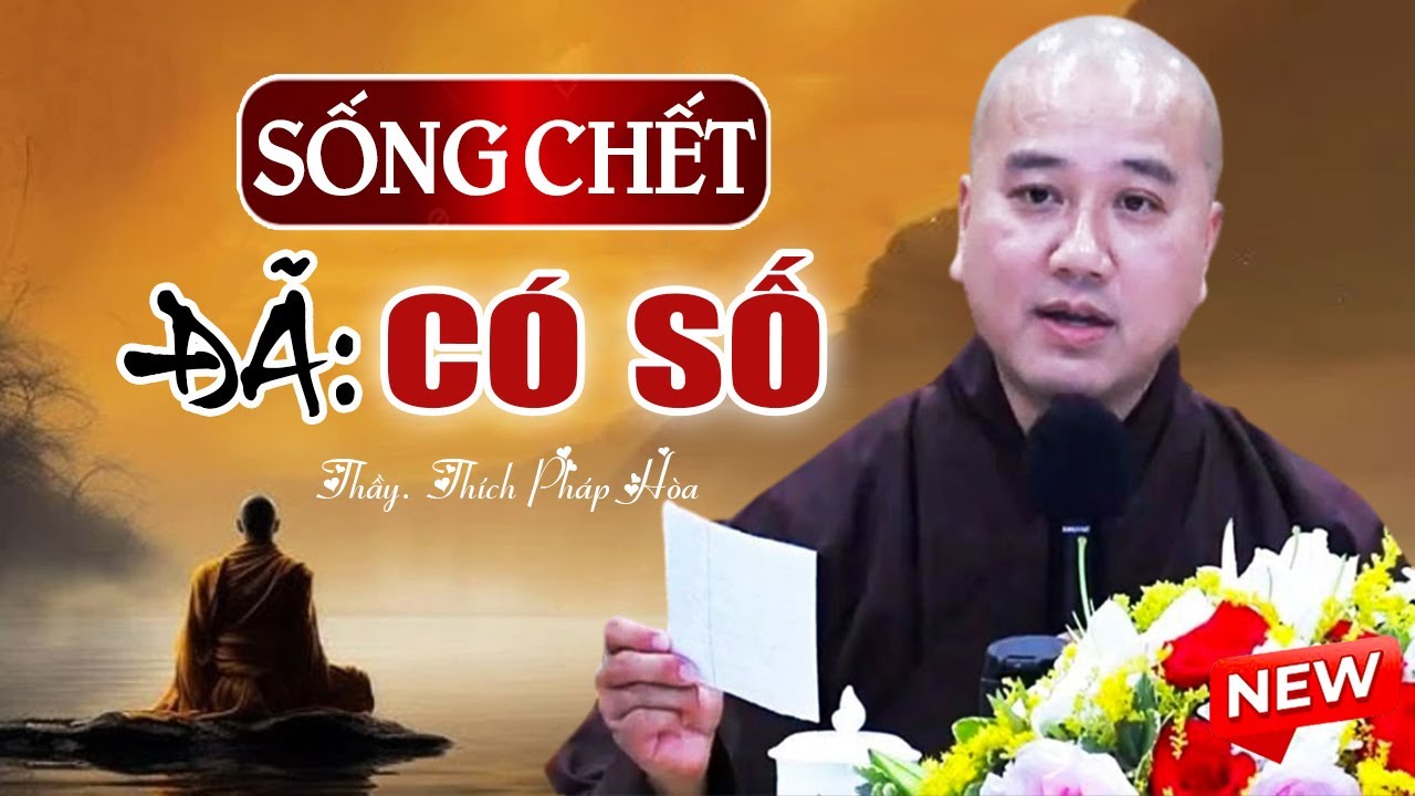 Sống Chết Đã Có Số, Nghiệp Đến Không Sao Tránh Khỏi Được ( rất hay ) - Vấn Đáp Thầy Thích Pháp Hòa