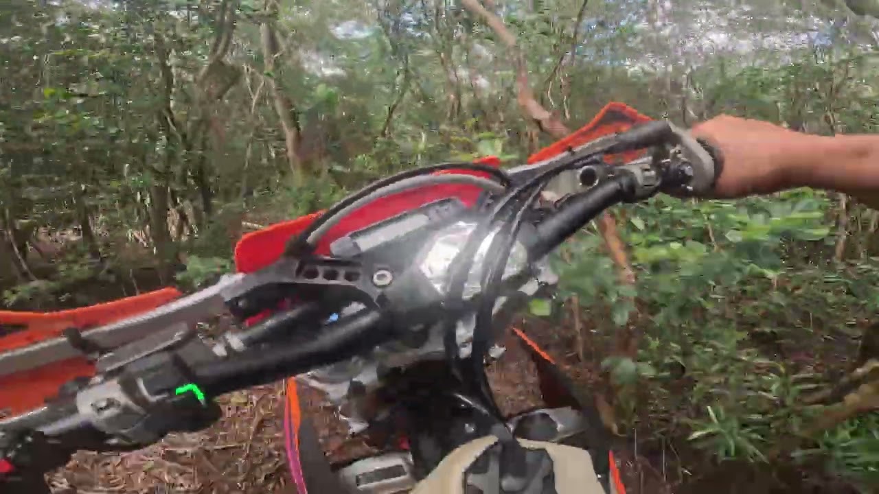 Wet Mililani Trails 2/22/26