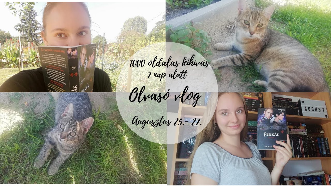 1000 oldalas kihívás 1 hét alatt | Olvasó vlog 2. rész