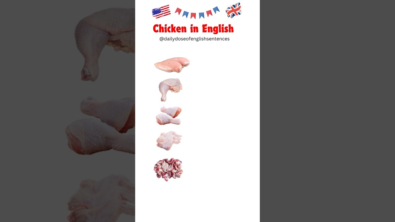 Chicken Meat Parts Vocabulary | Chicken Parts with Pictures #learnenglish #chicken