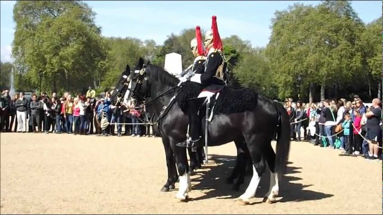 Changing the Guard - Horse behaving badly - Horse Guards Parade - Whitehall London