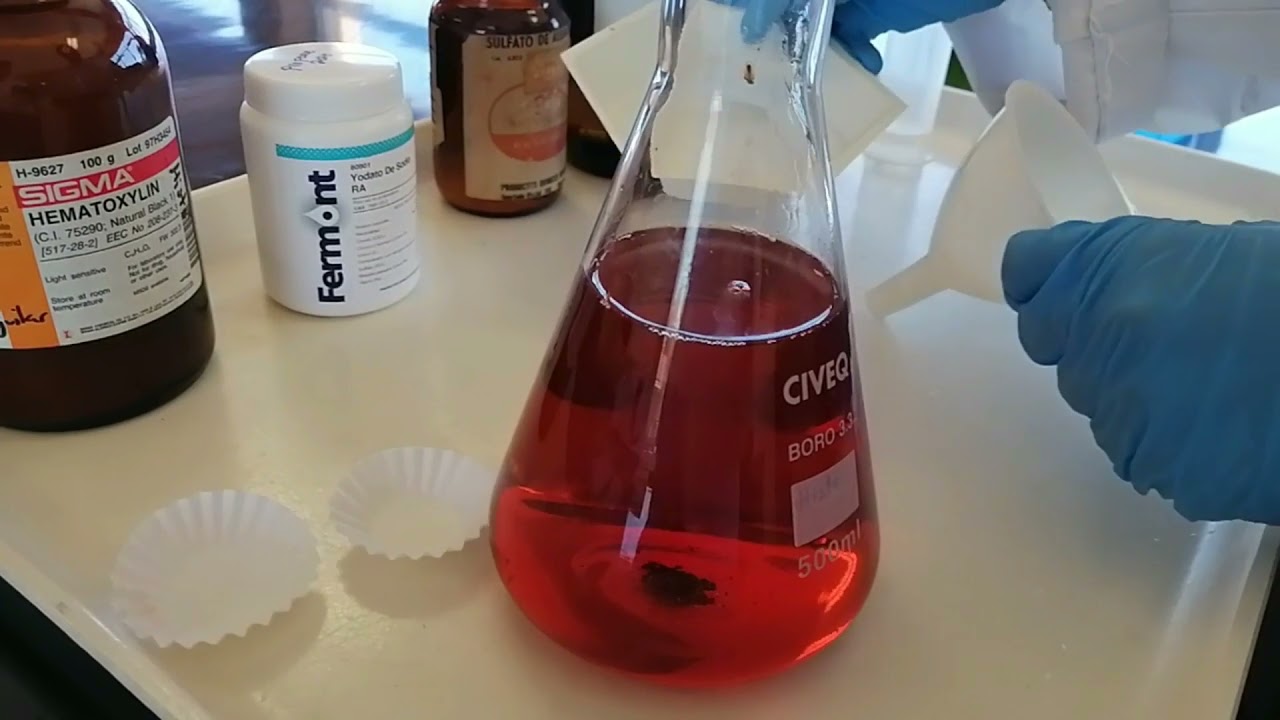 Hematoxilina de Gill - Preparando colorantes para histología paso a paso.
