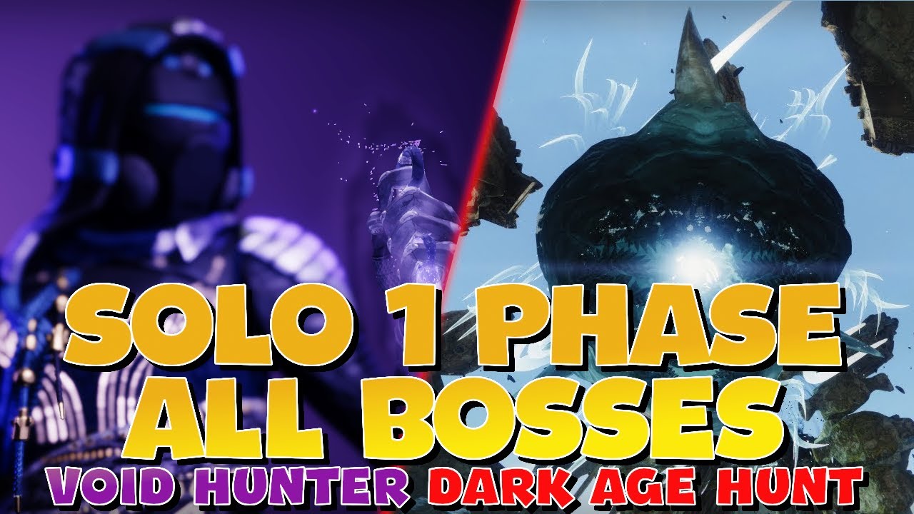 Void Hunter's The Highest DPS Build In The Game | Destiny 2 #darkagehunt