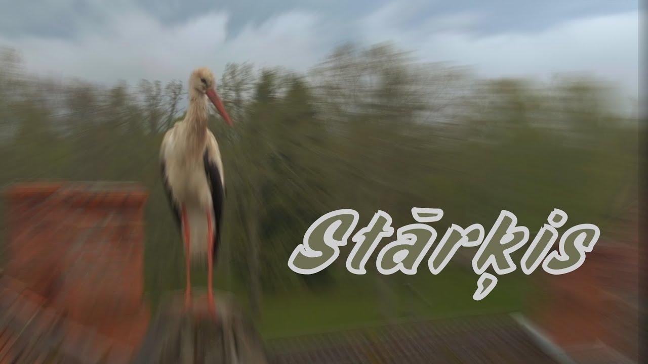 STĀRĶIS - J.Krūmiņš un M.Blāze