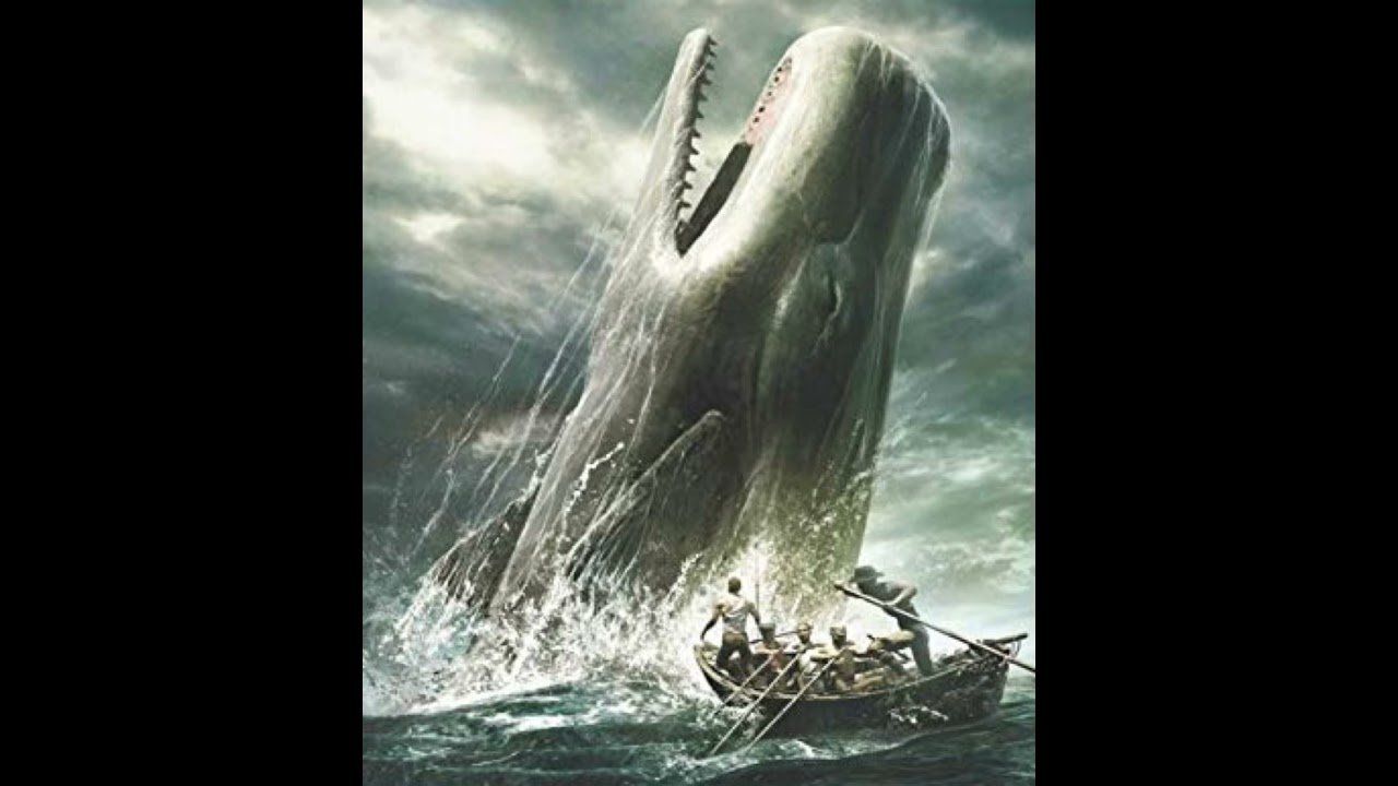 Moby Dick Sound Effects 🐋 🔊