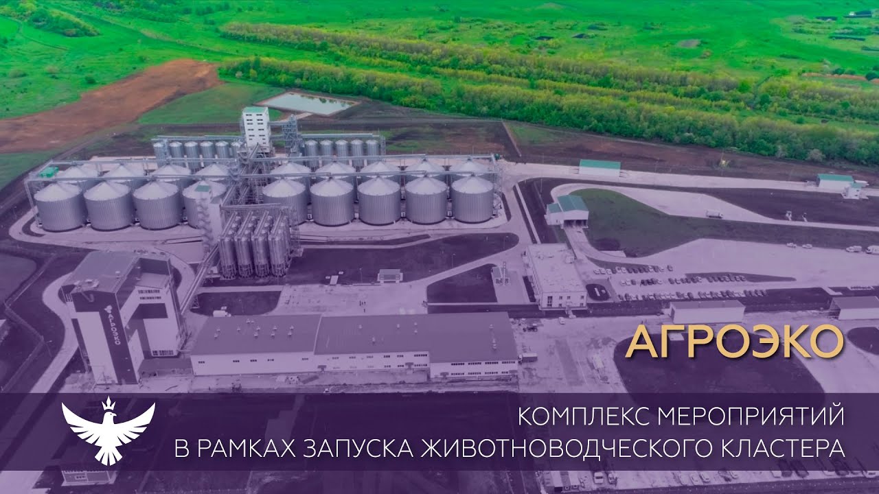 Комплекс мероприятий в рамках запуска животноводческого кластера ГК 