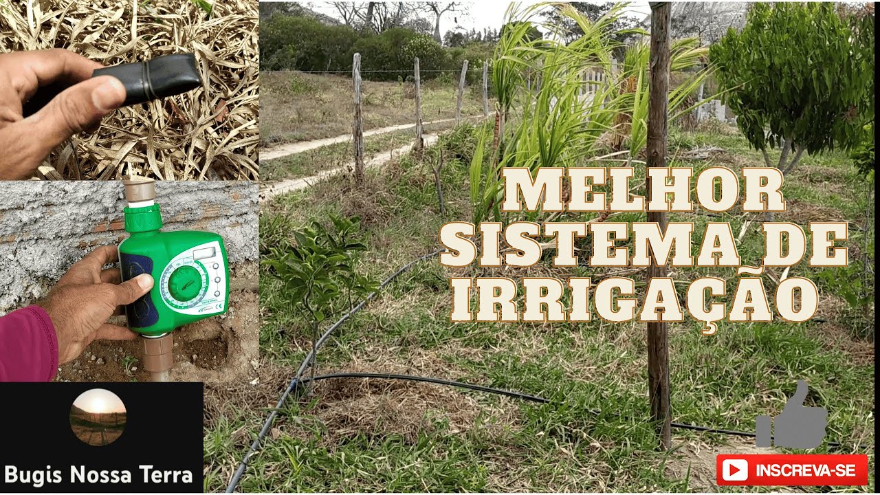 Como Fazer Sistema de Irrigação para Frutíferas